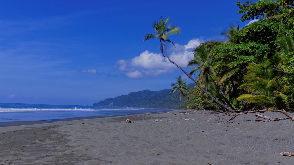 11 - Corcovado NP (02).jpg